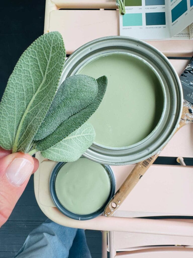 Fresh sage from the garden is next to a can of paint that has been matched. In the background is a color sample book from Farrow & Ball.