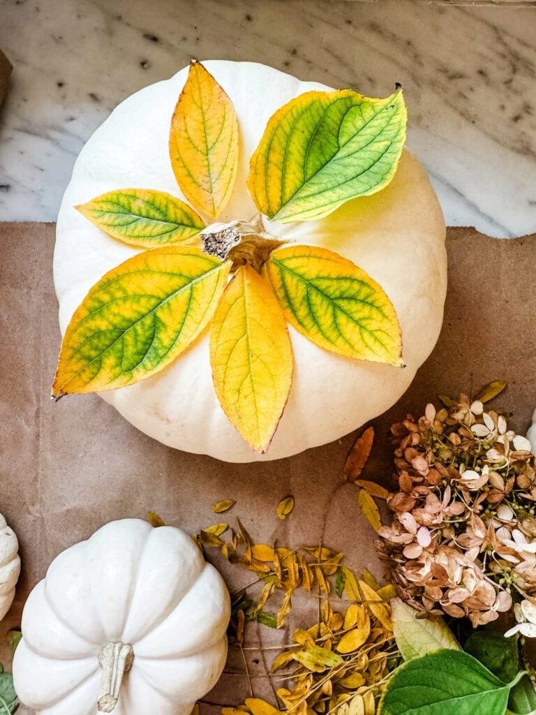 White pumpkins, fall leaves, on kraft paper bag.