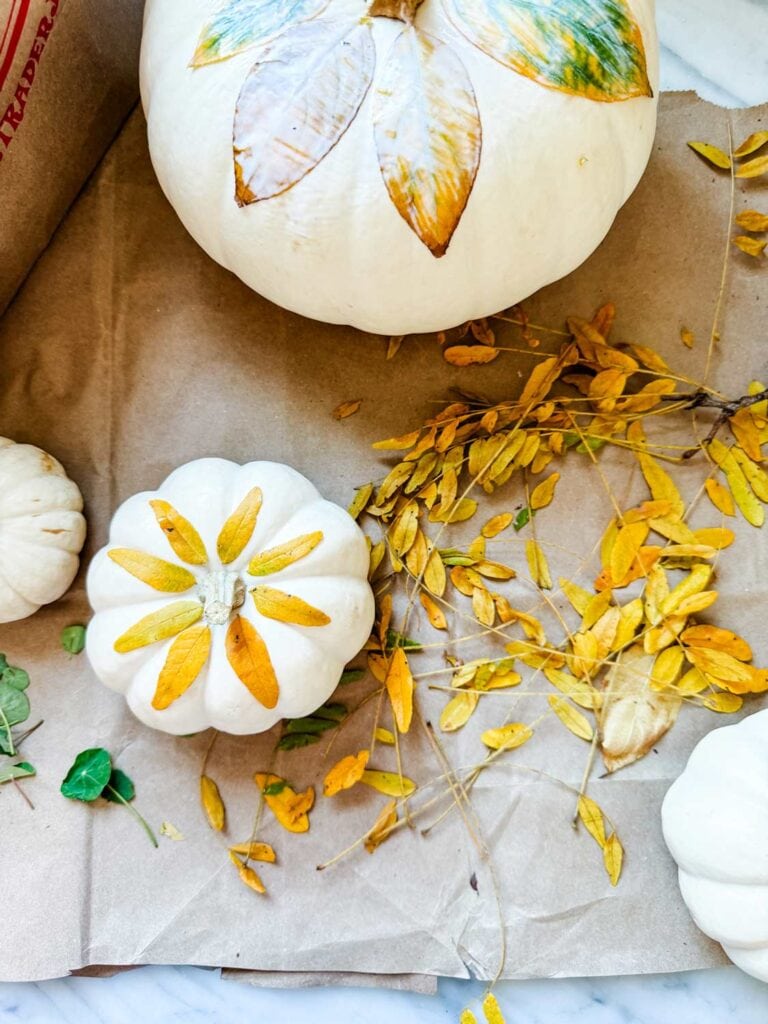 White pumpkins, fall leaves, on kraft paper bag. 