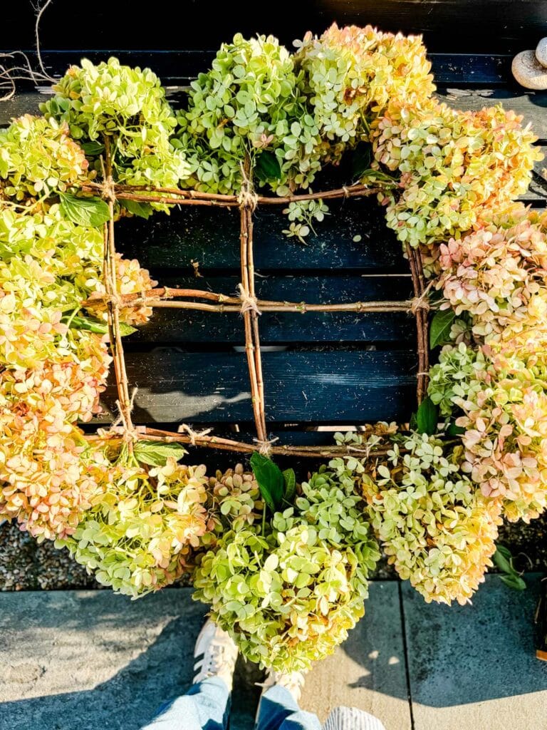 All the stems of hydrangea blooms have been tied together in a pattern that forms a rustic hydrangea wreath.