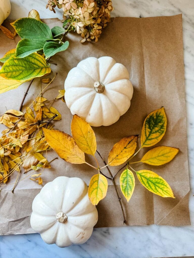 White pumpkins, fall leaves, on kraft paper bag.