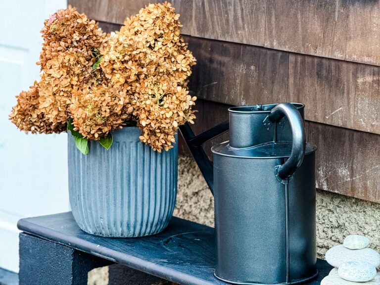 Brown hydrangeas in a pot on bench next to a brown house.