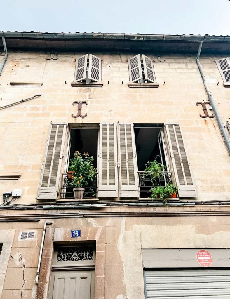 Plants sitting in open windows of an apartment in Avignon, France.