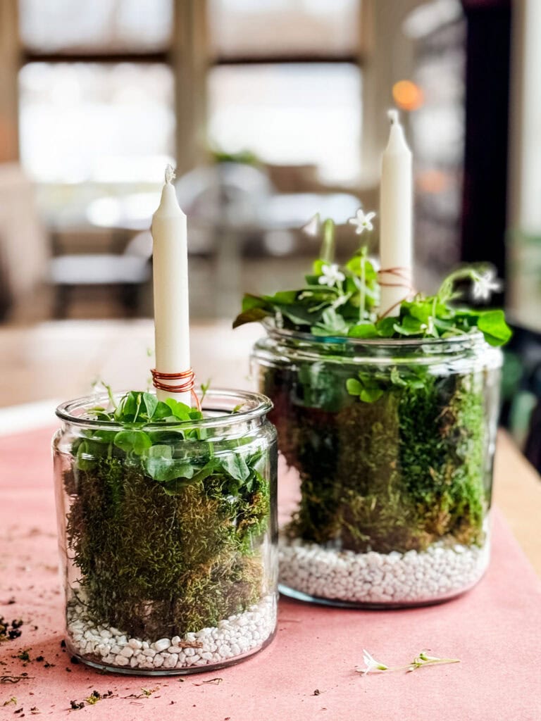 Glass jars with shamrock plants, whote stones, candles.