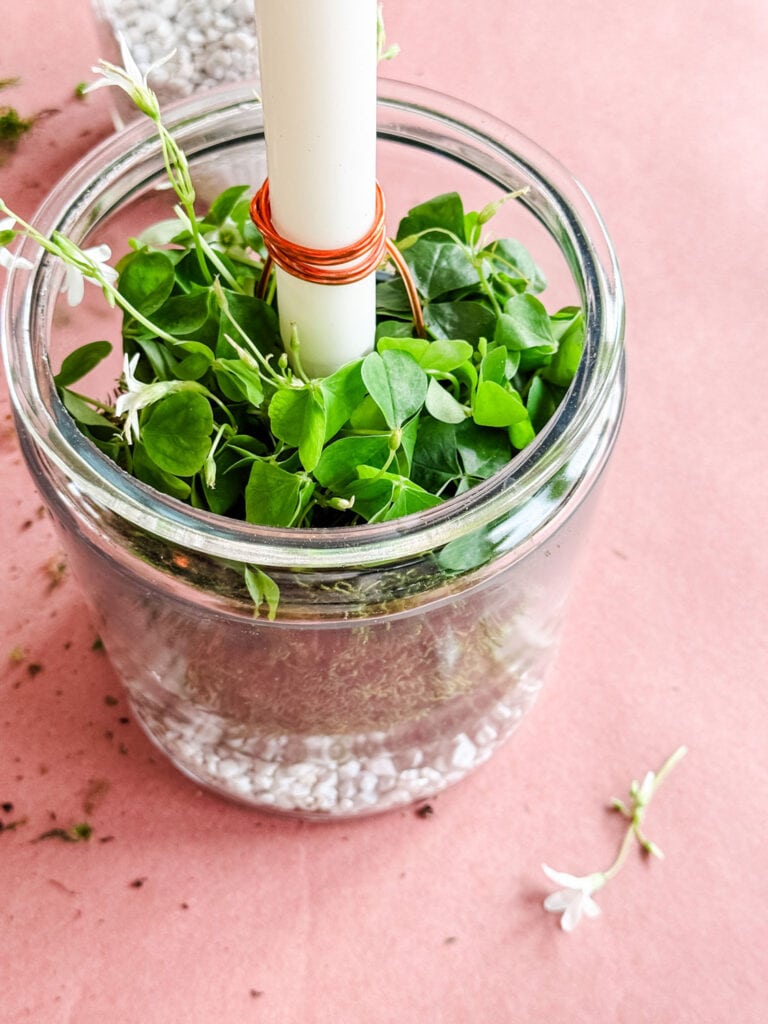 Shamrock plant in glass jar, white candle wrapped in copper wire.