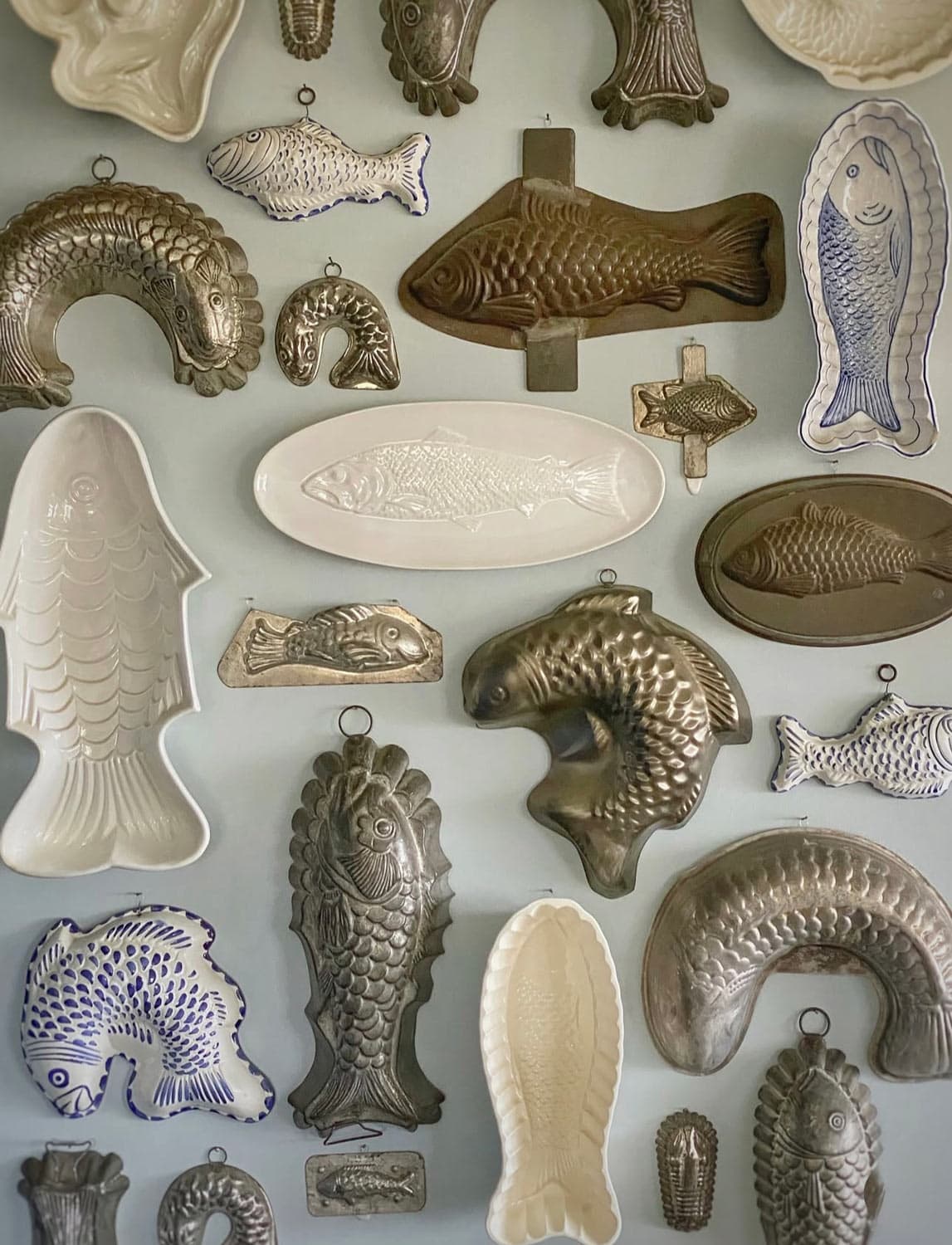 Collection of fish molds on wall.
