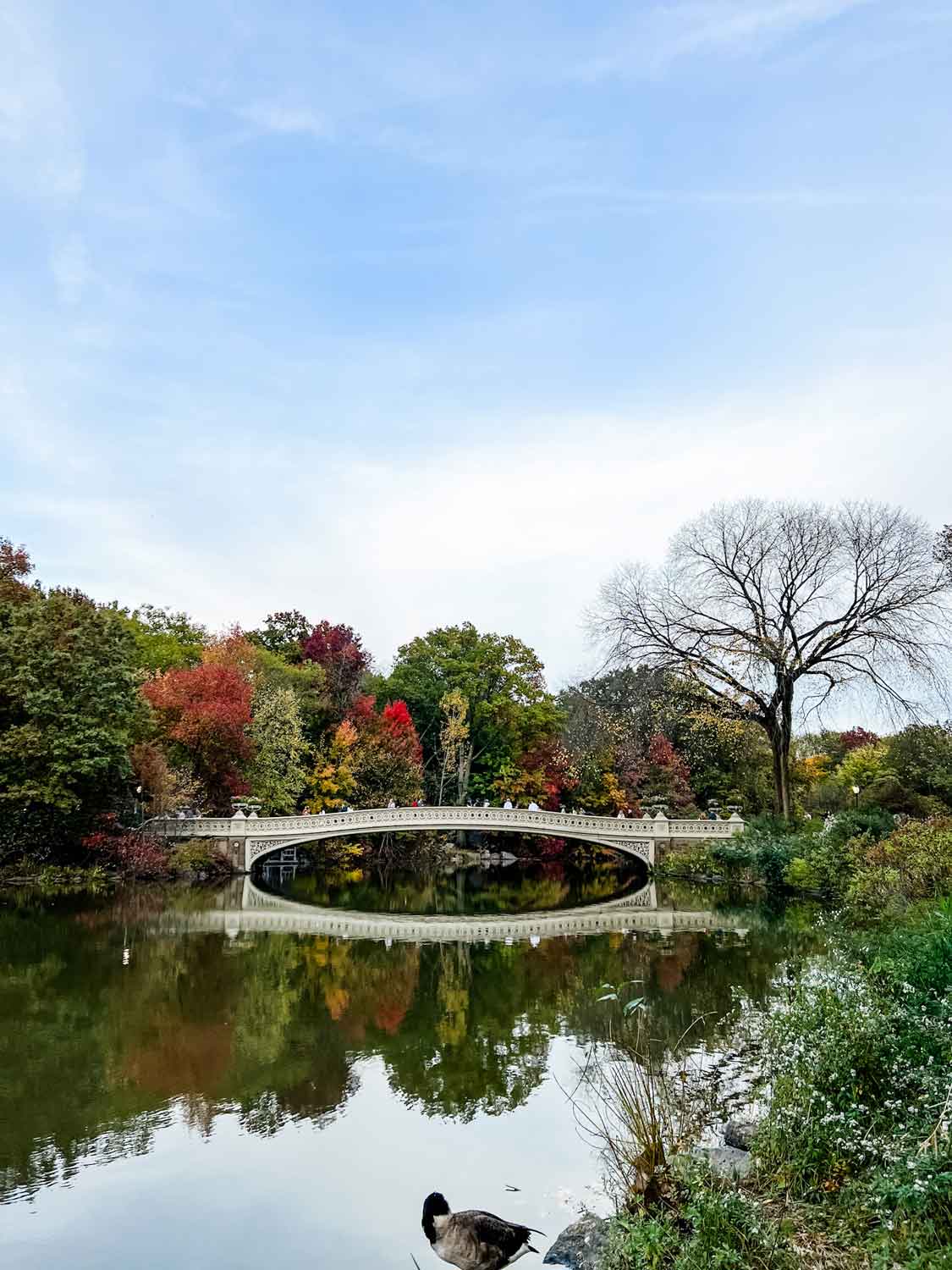 A Perfect Fall Day in Central Park, New York City