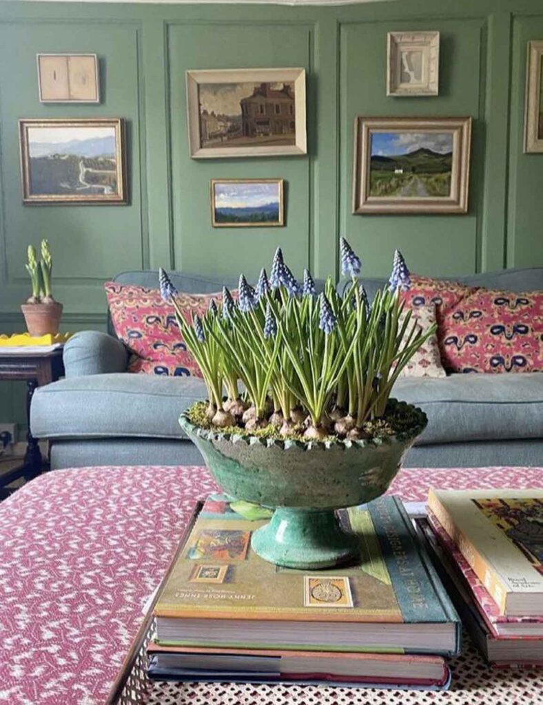 A living room with freen walls, pink patterned pillows and a bowl of muscari bulbs.