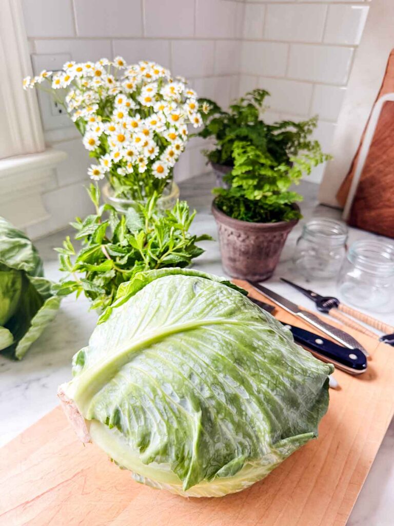 A head of green cabbage, chamomile flowers, fern, knives on wood cutting board.