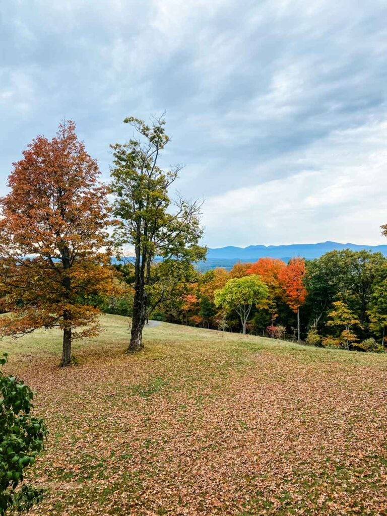The rolling hills just outside Hudson, NY, are surrounded by trees in peak foliage and leaves covering the green grass.