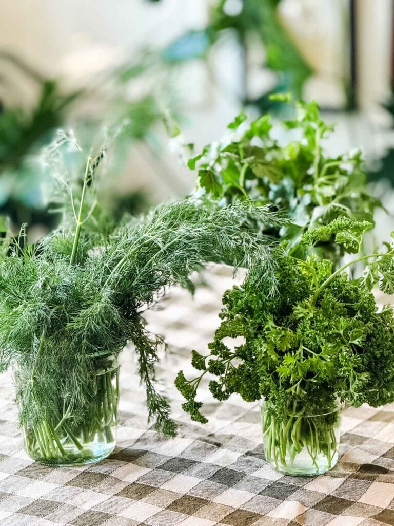 Fresh herbs in clear glass jars.