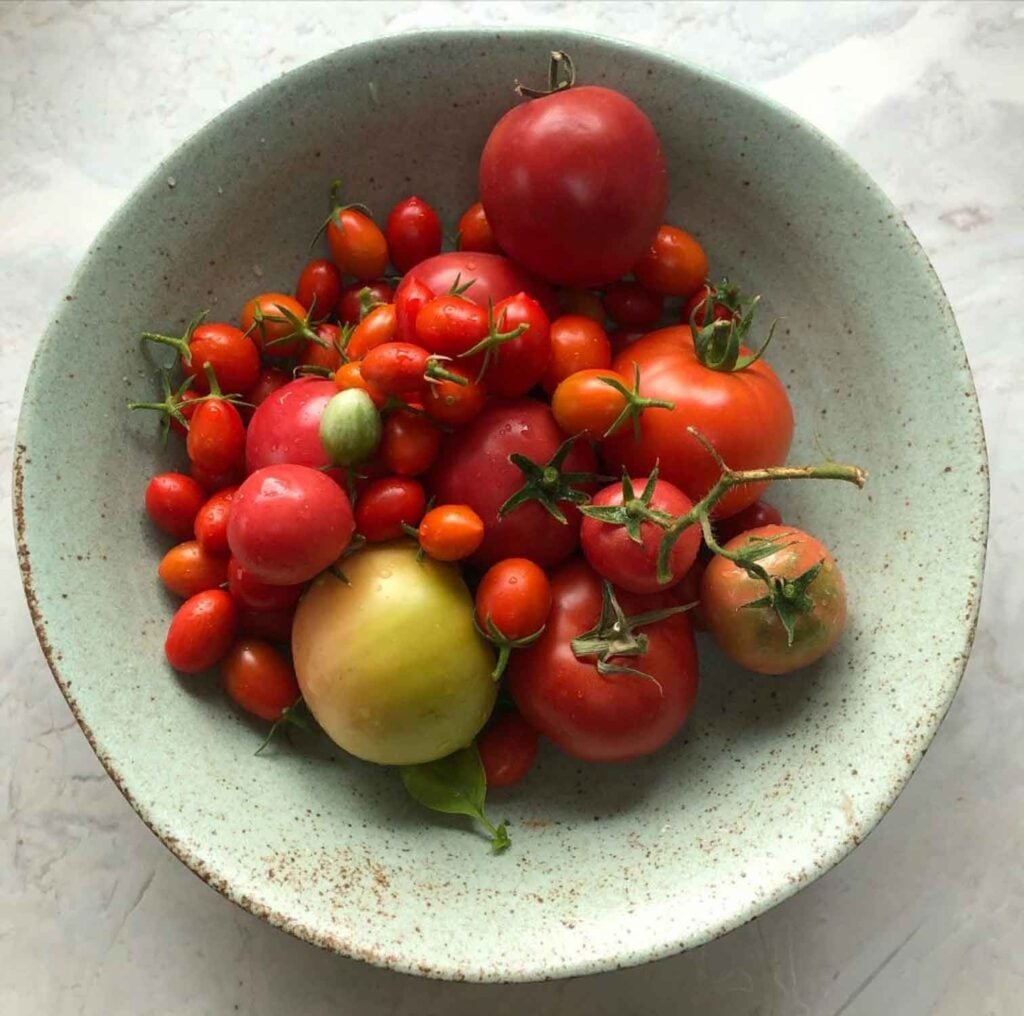 Green bowl of tomatoes. 