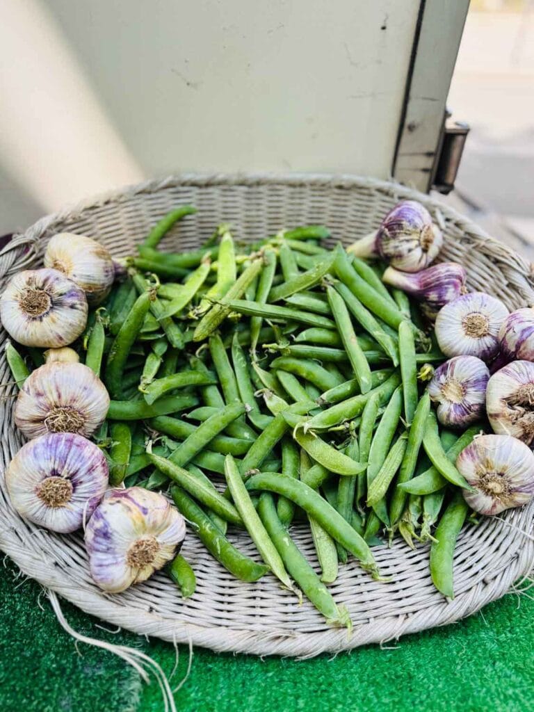 Green beans and purple garlic are in a straw basket at Marché Raspail in Paris.