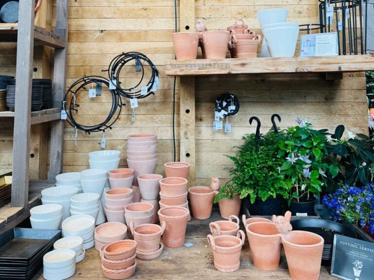 What’s New at Terrain + Other Sunday Favorites