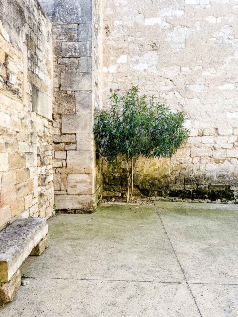The empty courtyard on the side of the truffle and wine museum in Richerenches, France.