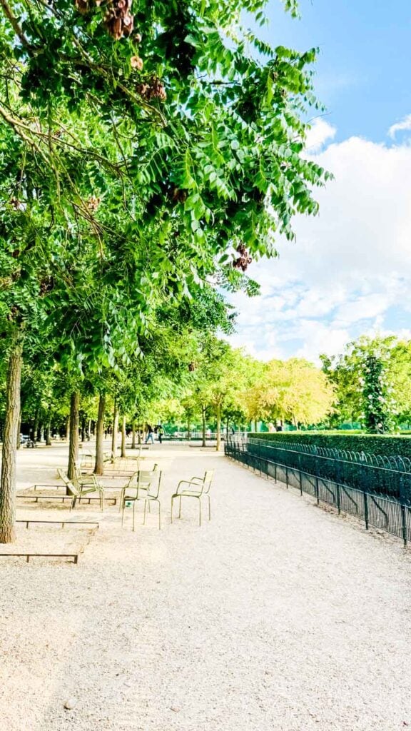 Park in paris at the golden hour.