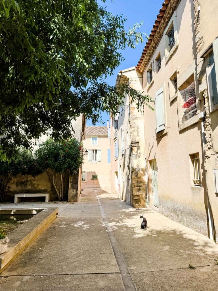A narrow walking path, flanked by green, leafy trees, in the village of Richerenches, France.