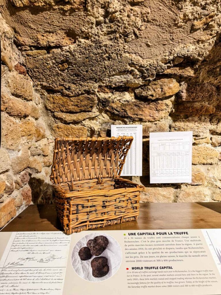 A wicker-type basket that used for placing newly harvested truffles is part of this display along with education materials and photos. 