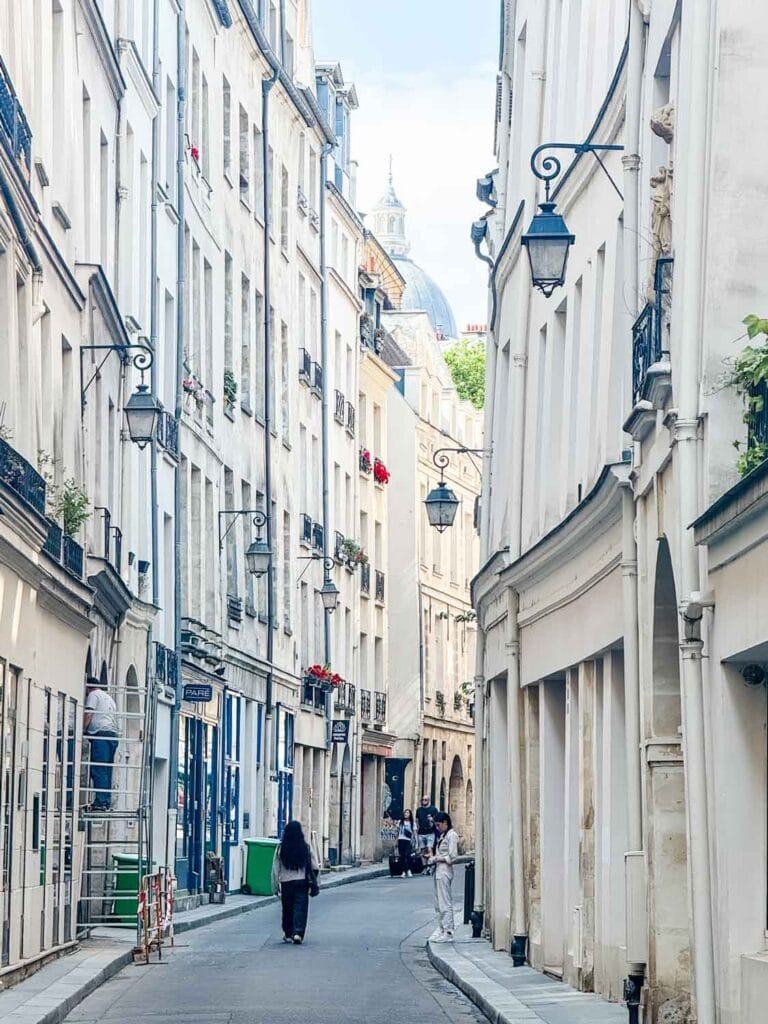 A small river still runs under the street, rue de Bièvre in Paris.