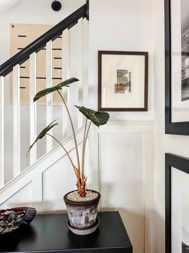 Large black and white photographs of waves, collage art, leather camp stools under console table, plant in pot from Denmark.