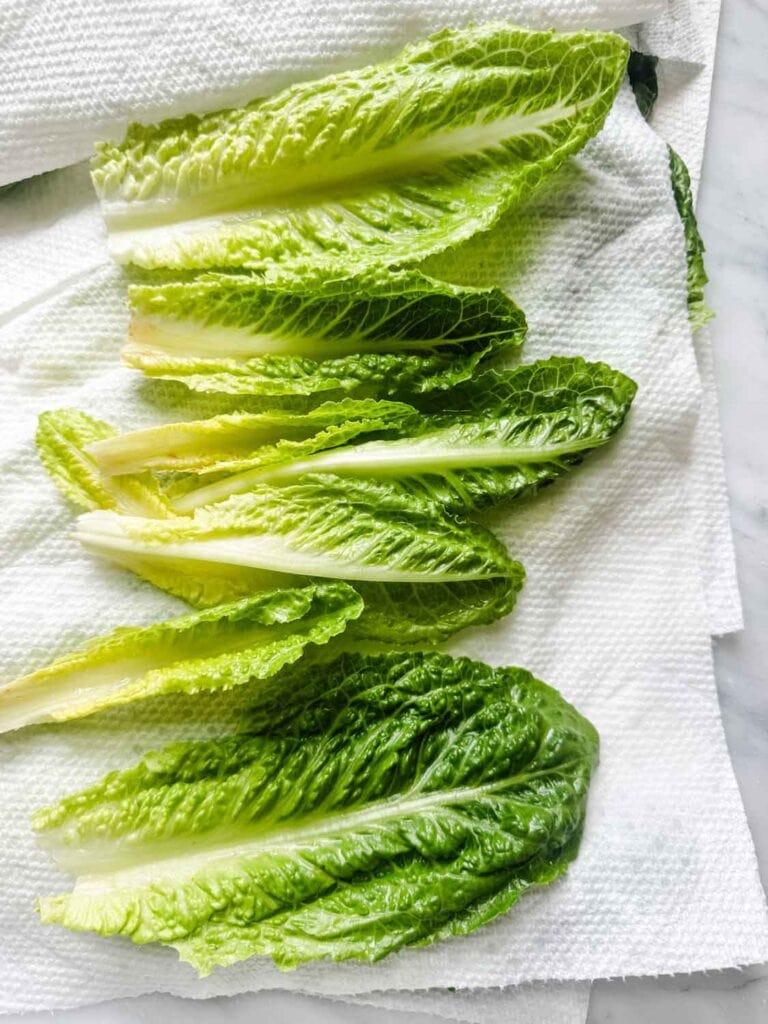 Romaine leaves on paper towels.