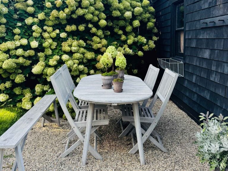 DIY Limelight Hydrangea Topiary Planter (No Vase Required)