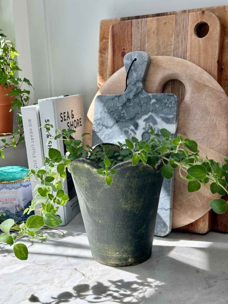 Gray marble cutting board, wood cutting board, cook books, rustic gray planter with fern.