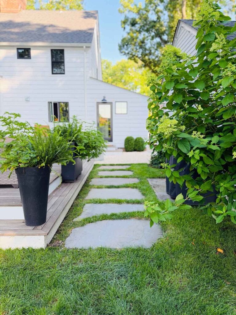 Outdoor backyard with black planters filled wiht ferns.