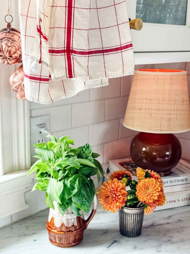 Small lamp, pitcher of basil, silver christening cup of dahlias.