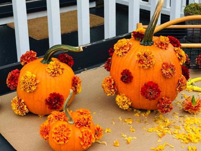 Marigold Polka Dot Pumpkins for a Fall Tablescape