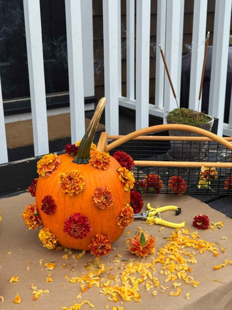 A polka-dot pumpkin made with marigolds. 