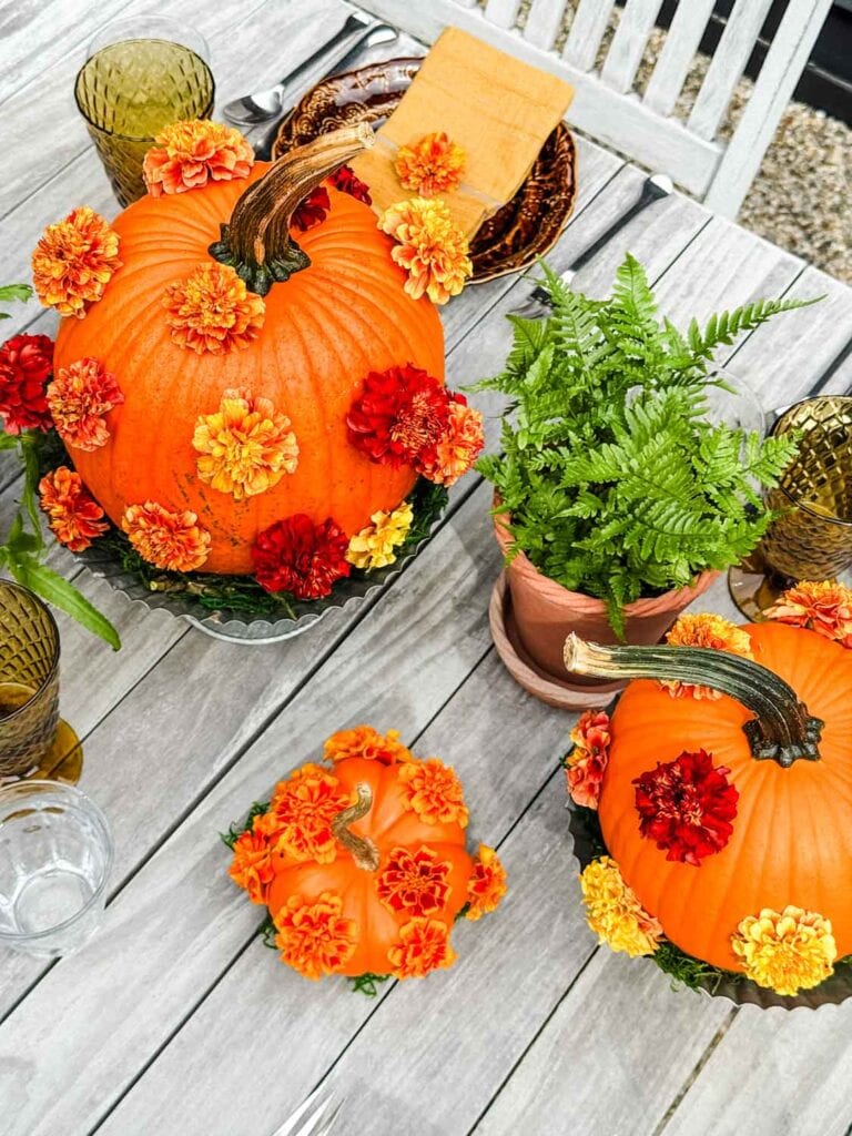 A tablescape with polka-dot pumpkins on galvanized cake stands, plants in terracotta pots, plate with gold napkin.