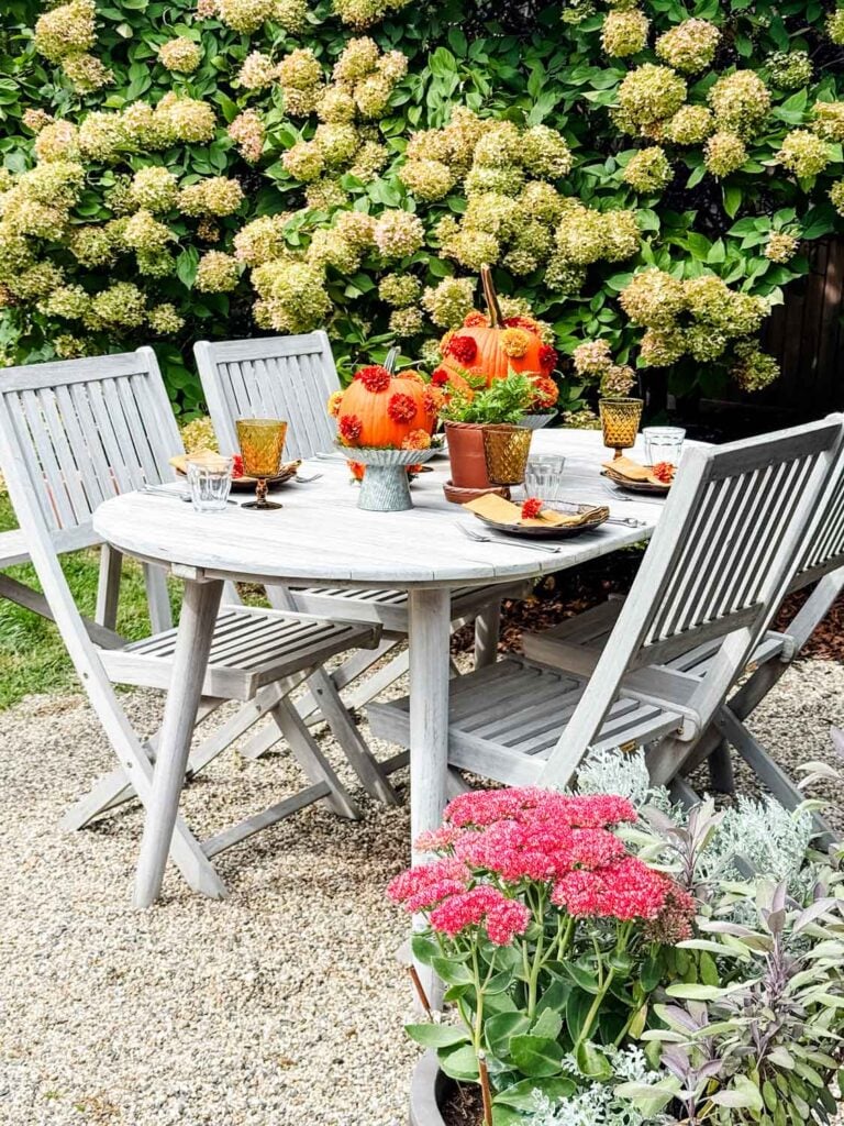 A tablescape with a hydrangea tree in the background, and polka-dot pumpkins on galvanized cake stands, plants in terracotta pots, brown plates with gold napkins, and a single marigold on the napkin.